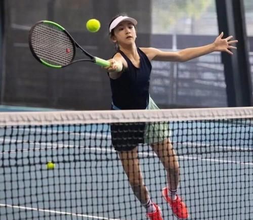 经历了意甲 经历了意甲